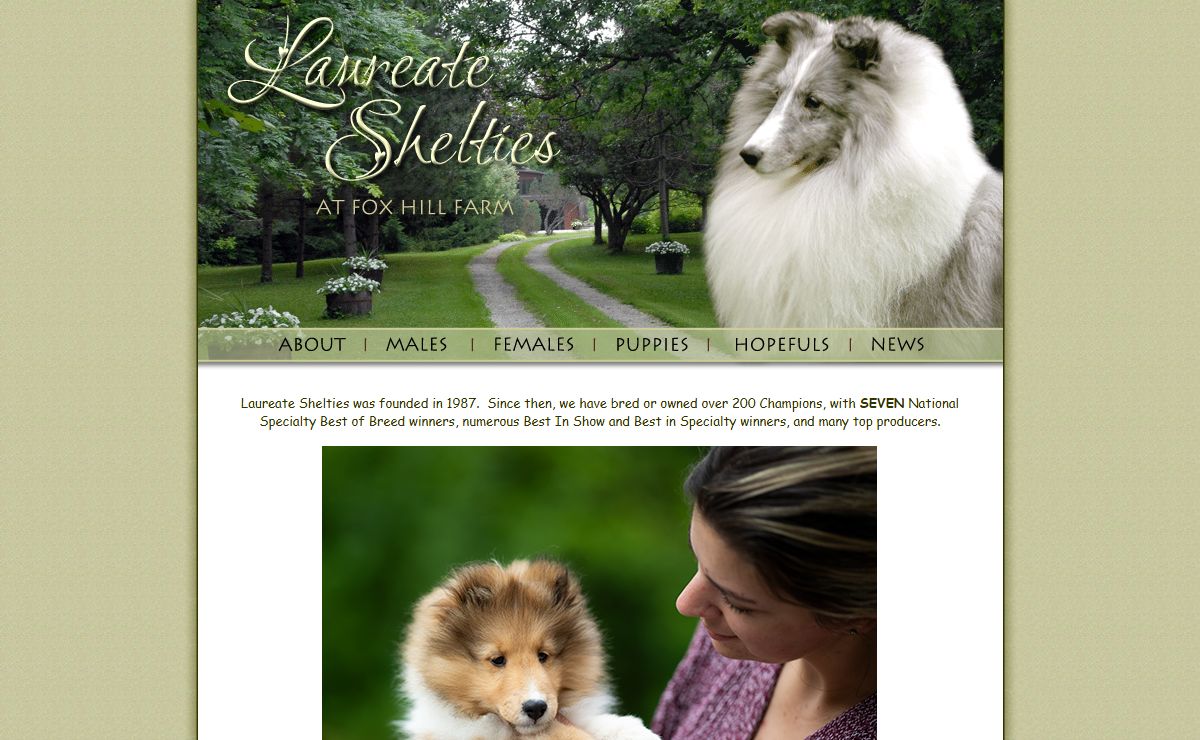 Laureate Shelties Ontario (Ottawa, Ontario) Canada