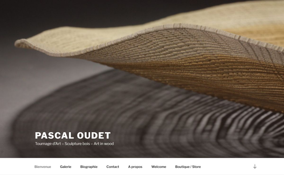 Pascal Oudet – Tournage d'Art – Sculpture bois – Art in wood
