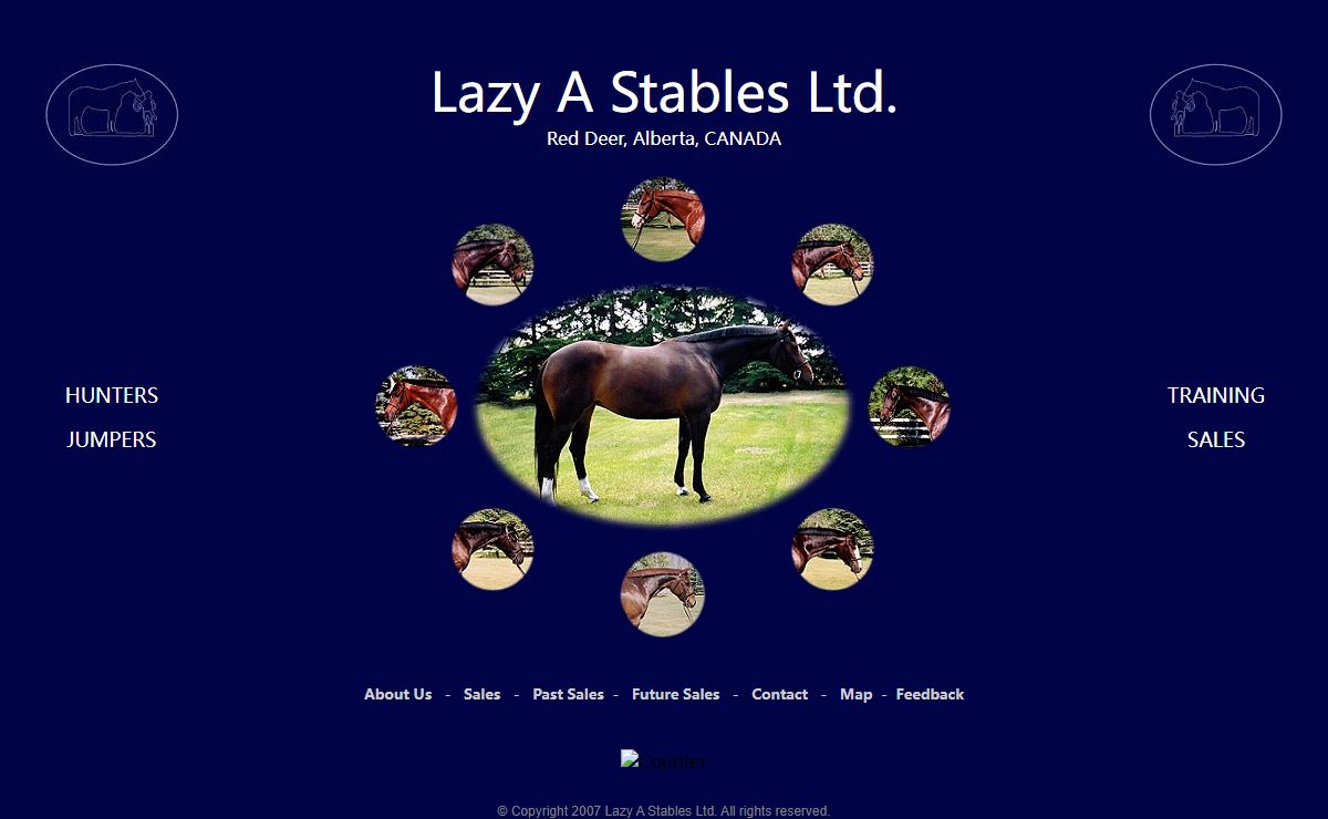 Lazy A Stables Ltd. - Hunters, Jumpers, Training & Sales.