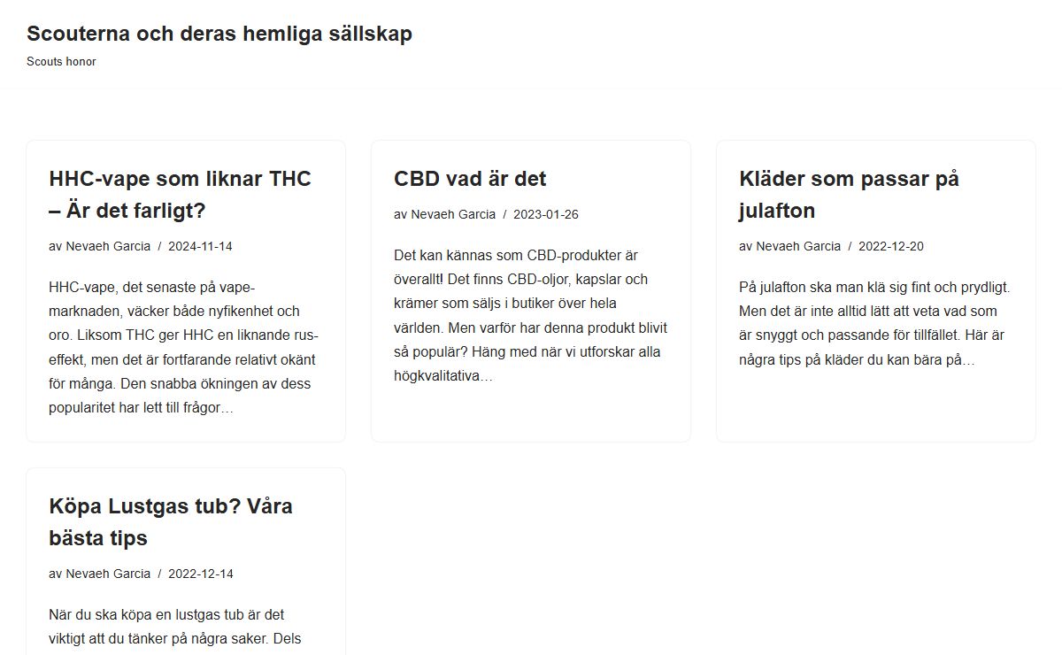 Scouterna och deras hemliga sällskap - Scouts honor