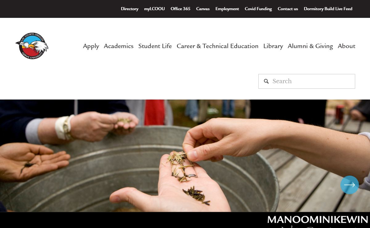 Education for college students seeking a degree or certificate with a Native American perspective
