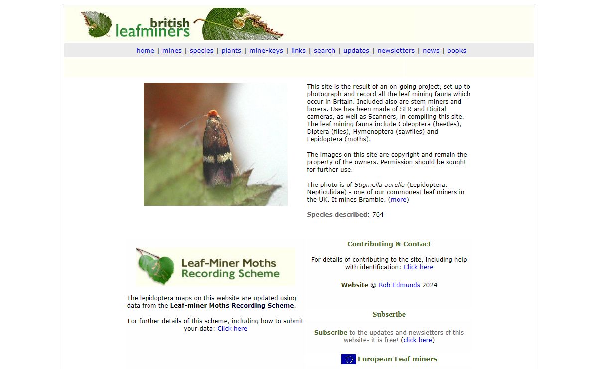 british leafminers - your guide to british and european leafmines