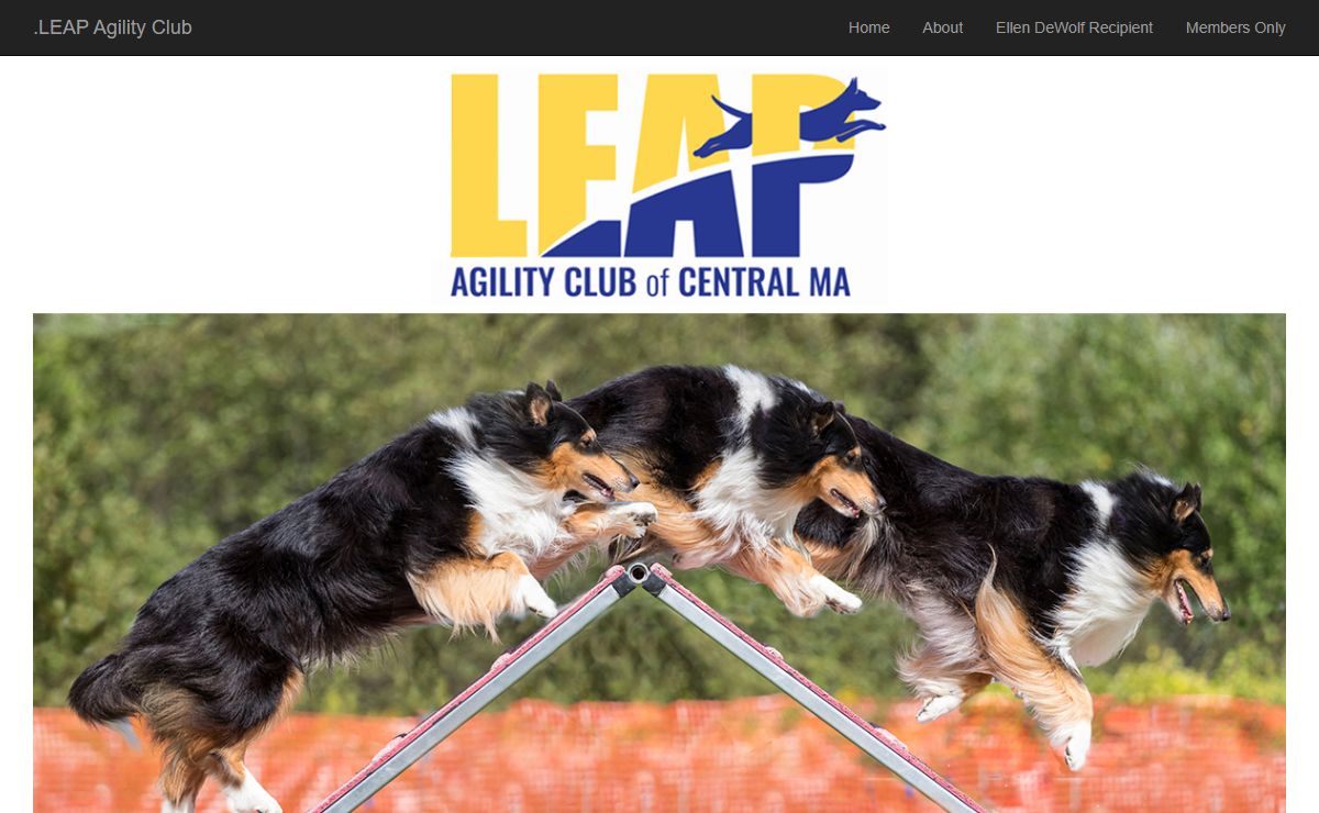 Leap Agility Club