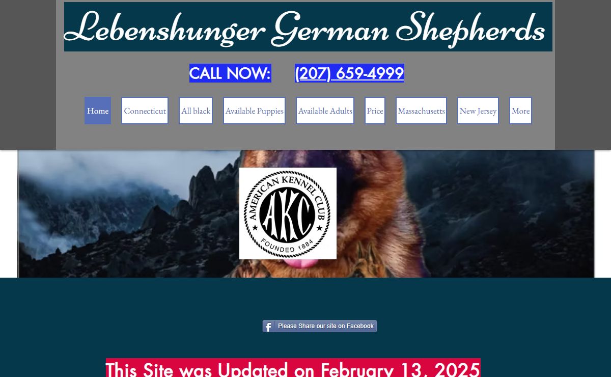 German Shepherd Breeder in Maine & New England | Lebenshunger German Shepherds