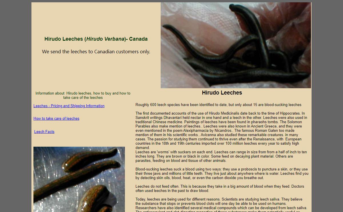Leeches for sale