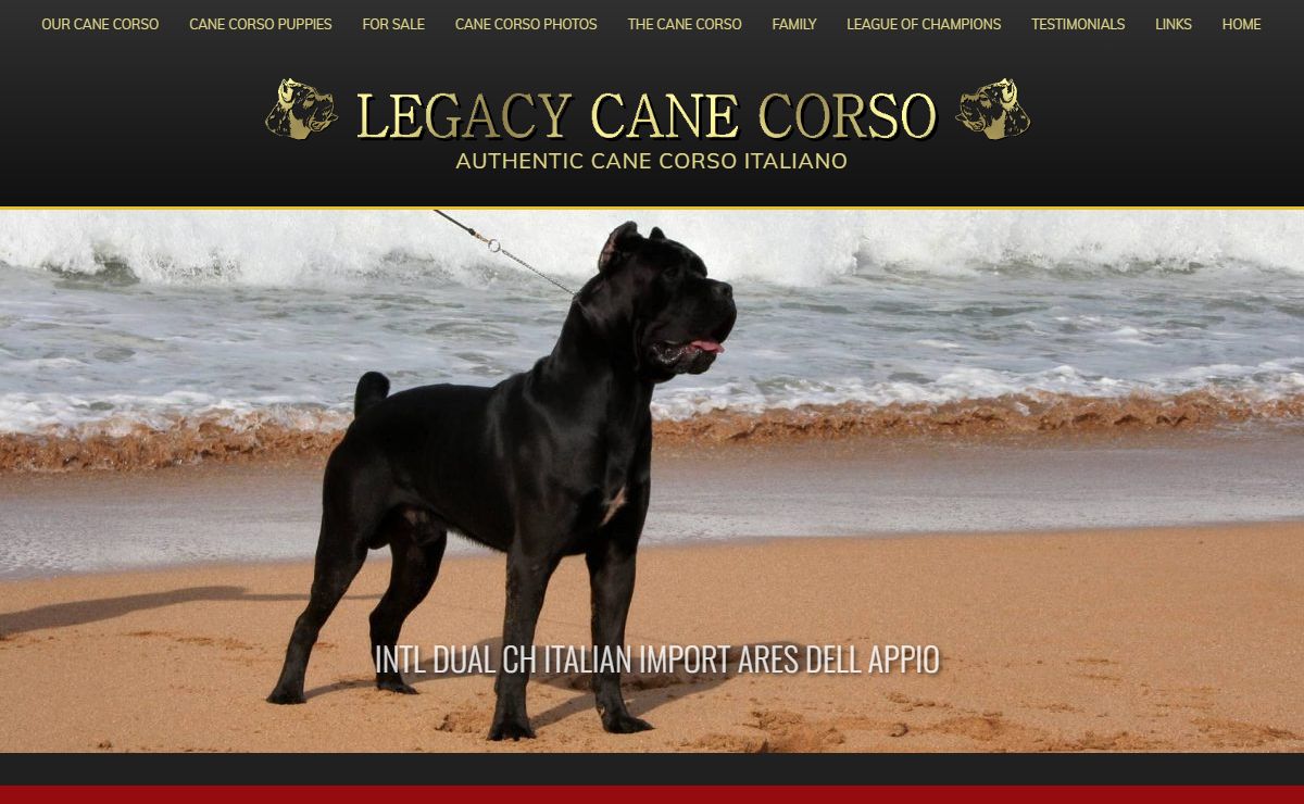 Cane Corso Breeder in New York and New Jersey by Legacy Cane Corso
