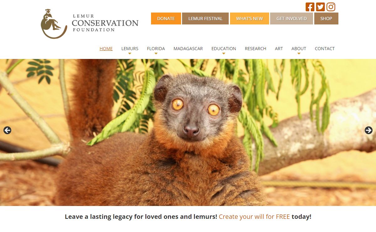 Lemur Conservation Foundation - Home