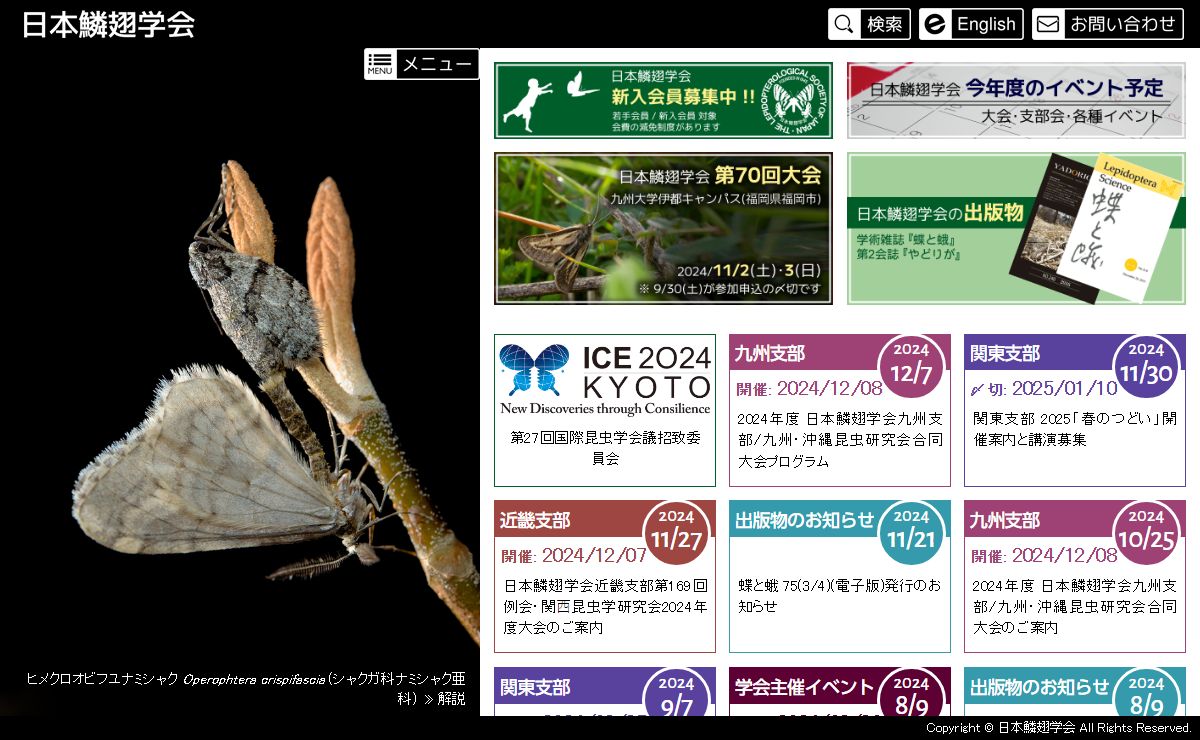 日本鱗翅学会 (The Lepidopterological Society of Japan: LSJ)