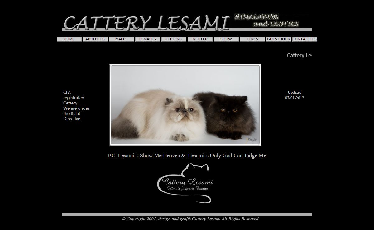 Lesami Cattery
