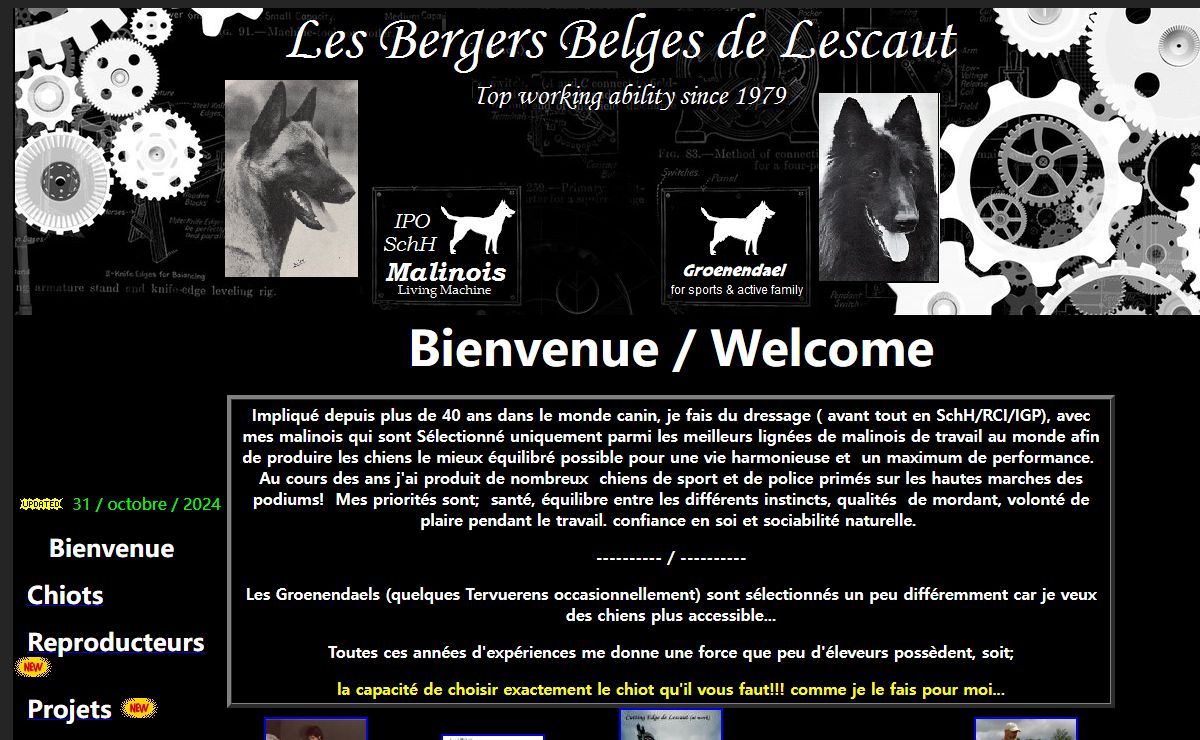 Lescaut Malinois