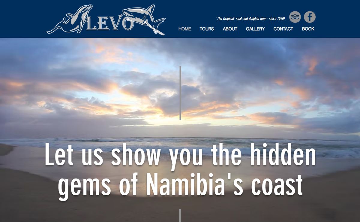 Seal & Dolphin Tours | Walvis Bay | Levo Tours