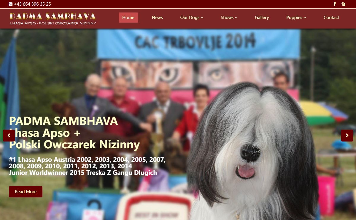 ***PADMA SAMBHAVA Lhasa Apso-Polski Owczarek Nizinny***