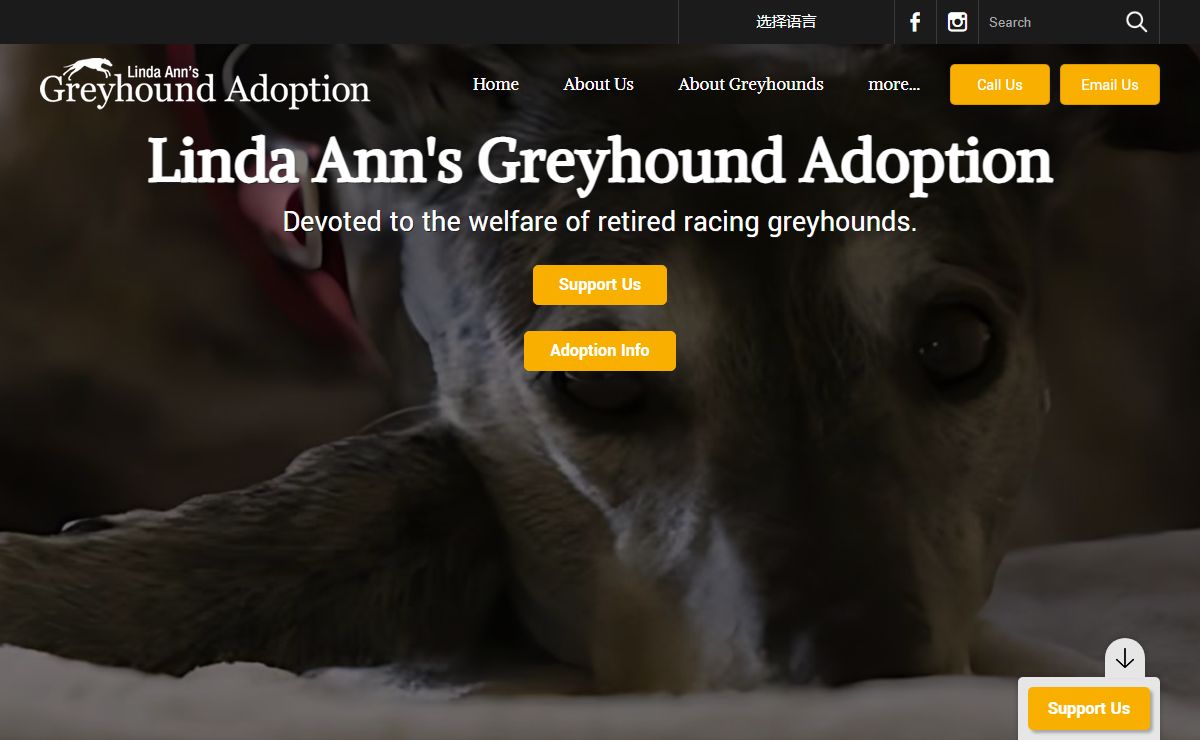 Linda Anns Greyhound Adoption Inc - Home