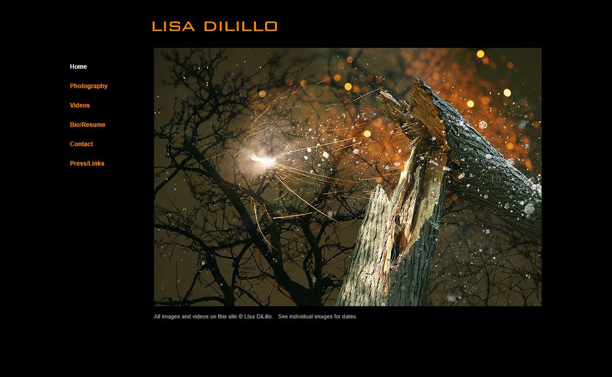 Lisa DiLillo, fine art photography for sale, video art, visual artist