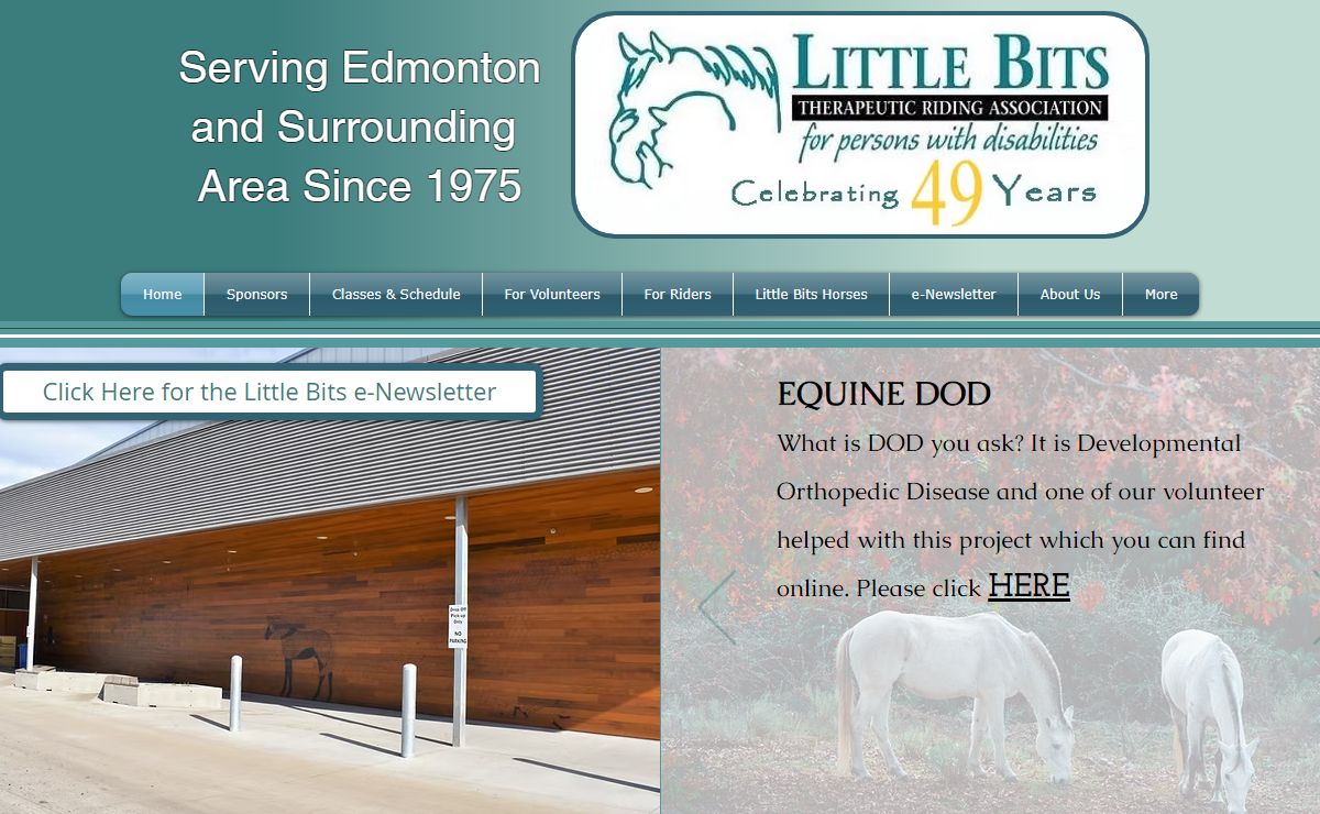 Little Bits Therapeutic Riding Association