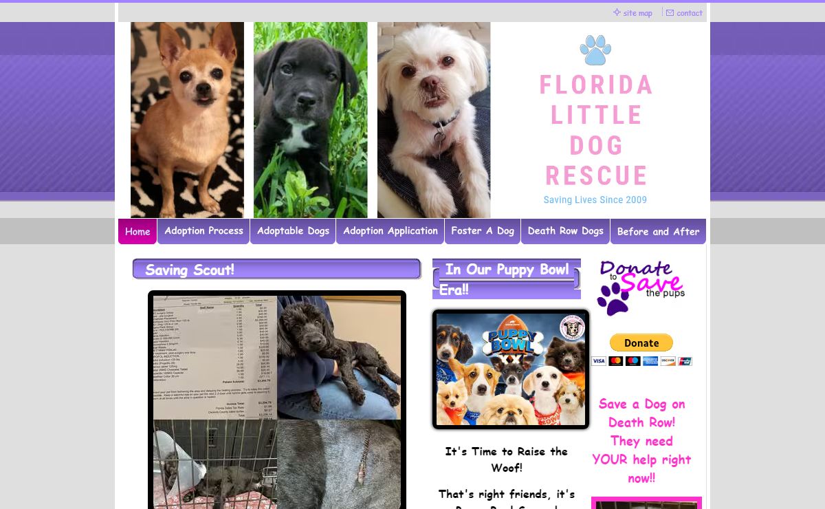 Florida Little Dog Rescue Group - Home