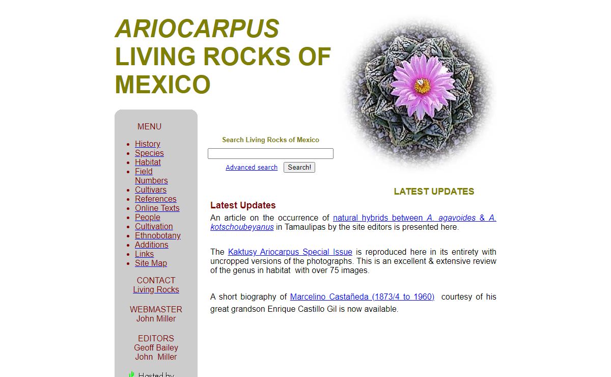 Ariocarpus - Living Rocks of Mexico