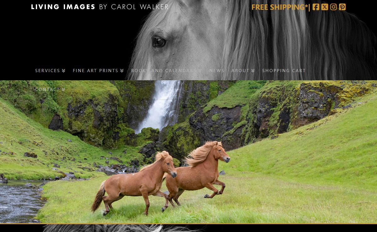 Wild Horse and Horse Fine Art Prints by Carol J. Walker, Horse Stock Photography, Horse and Wild Horse Books and Calendars