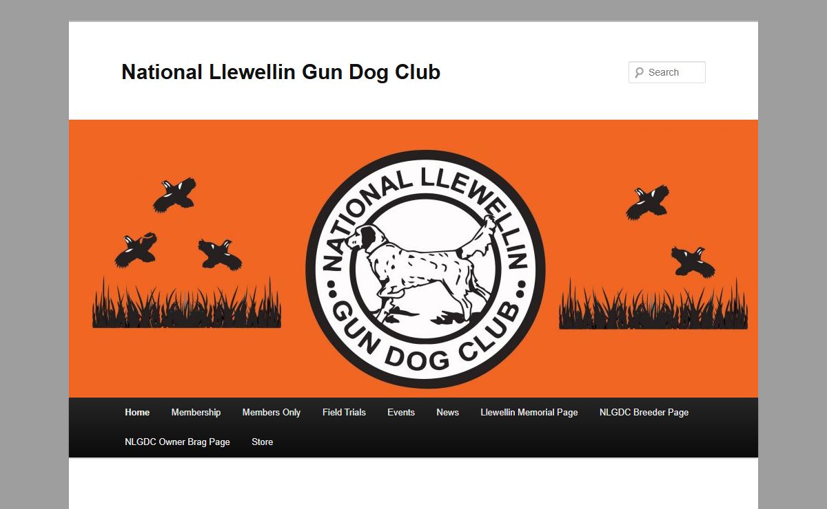 National Llewellin Gun Dog Club