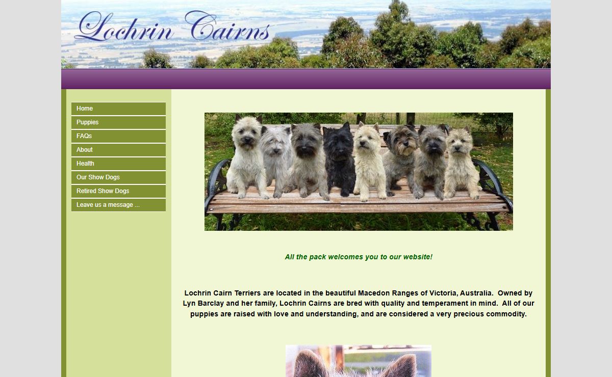 Lochrin Cairn Terriers