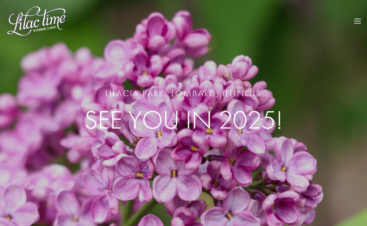 Lilac Time in Lombard