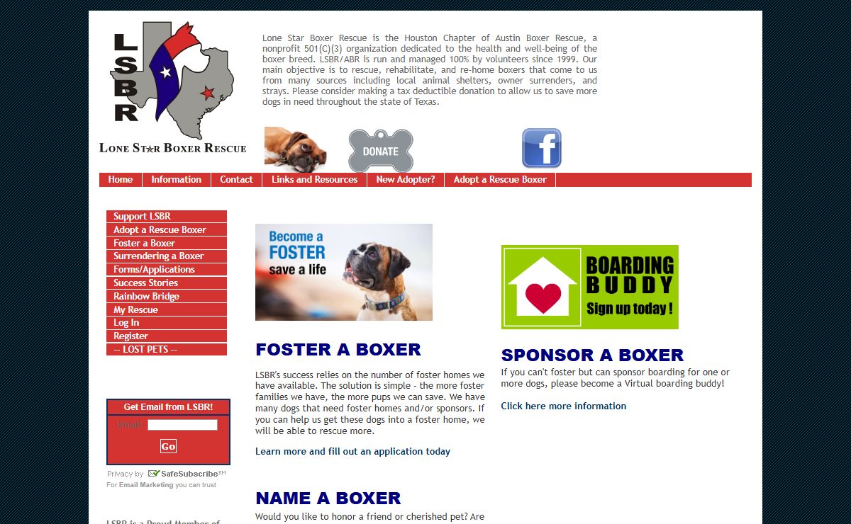 Adopt a Boxer - Lone Star Boxer Rescue - a local Houston boxer rescue