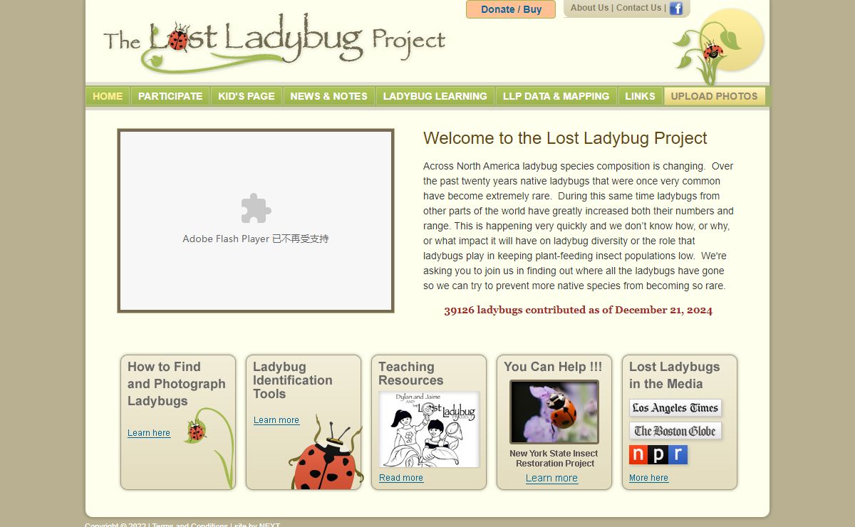 Lost Ladybug Project