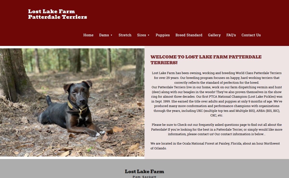 Lost Lake Farm