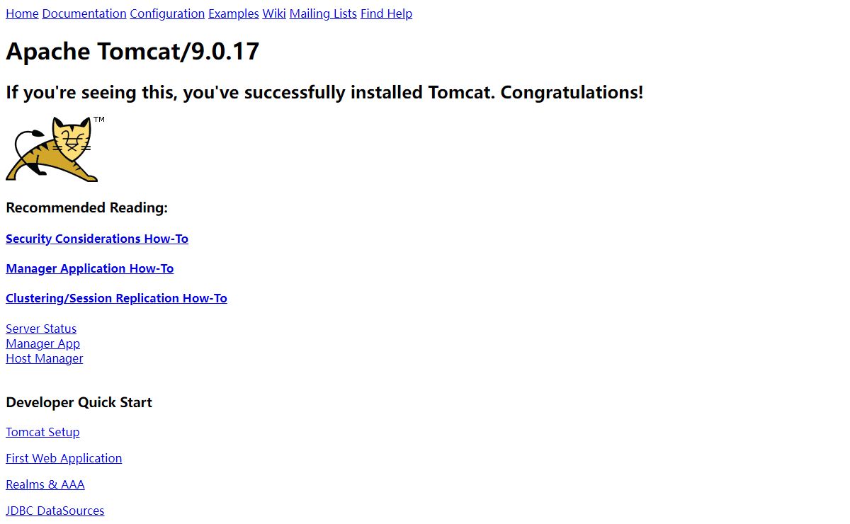 Apache Tomcat/9.0.17