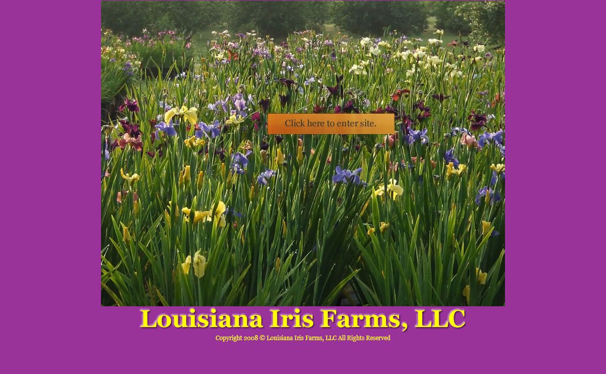 Welcome to the Louisiana Iris Farms website. Thank you for visiting.