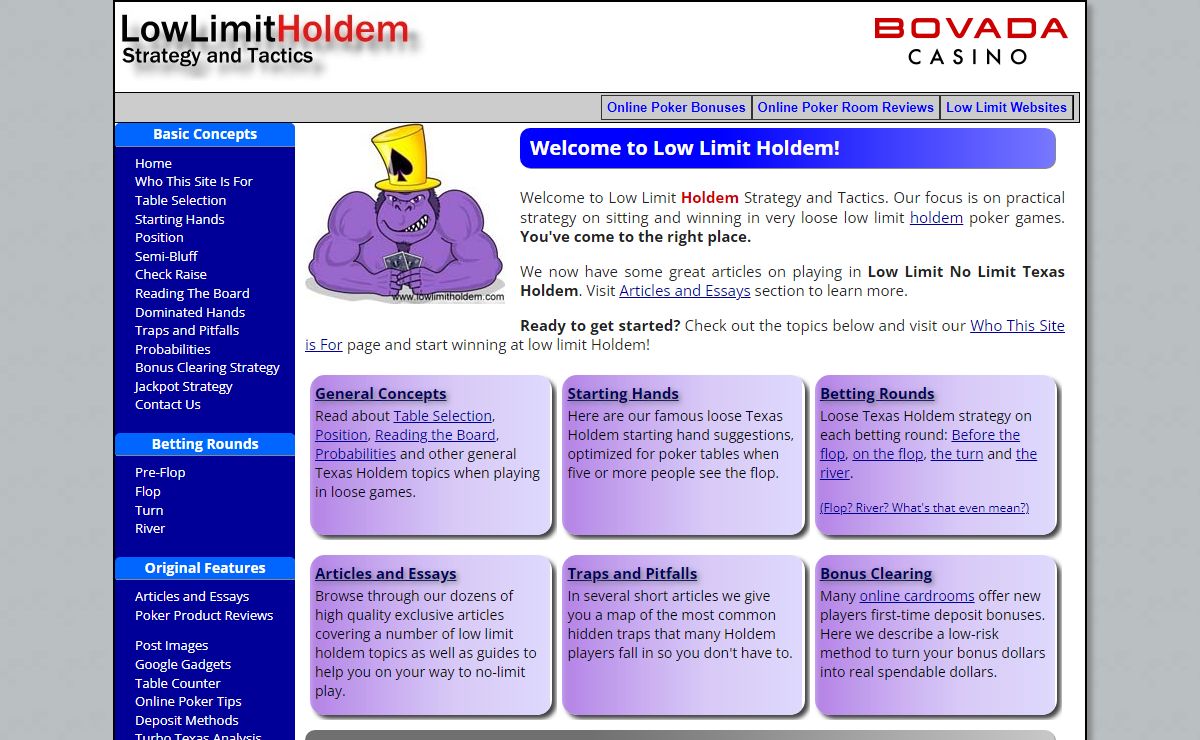 Low Limit HoldemStrategy and Tactics