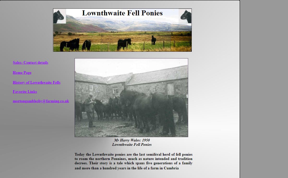 Lownthwaite Fell Ponies