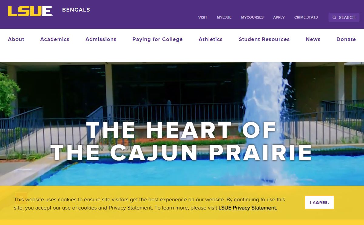 Welcome to LSUE