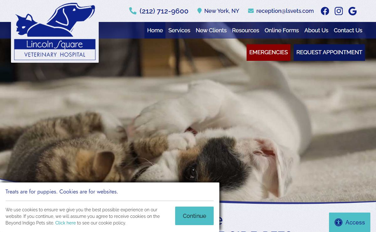 Veterinarian in New York, NY | Lincoln Square Veterinary Hospital