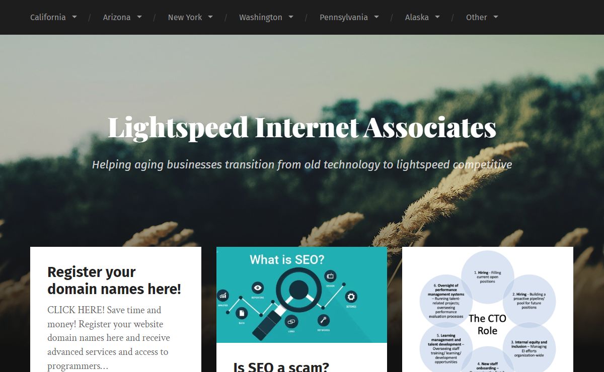 Lightspeed Internet Associates – Helping aging businesses transition from old technology to lightspeed competitive