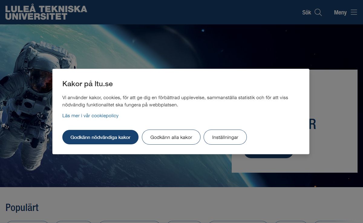 Luleå tekniska universitet