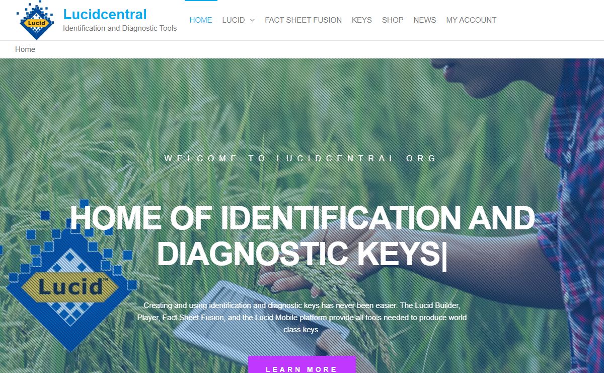 Home - Lucidcentral