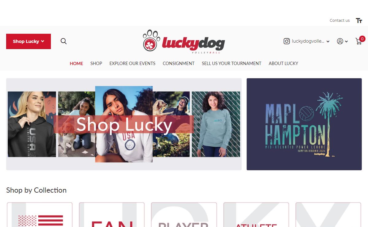 Lucky Dog Volleyball