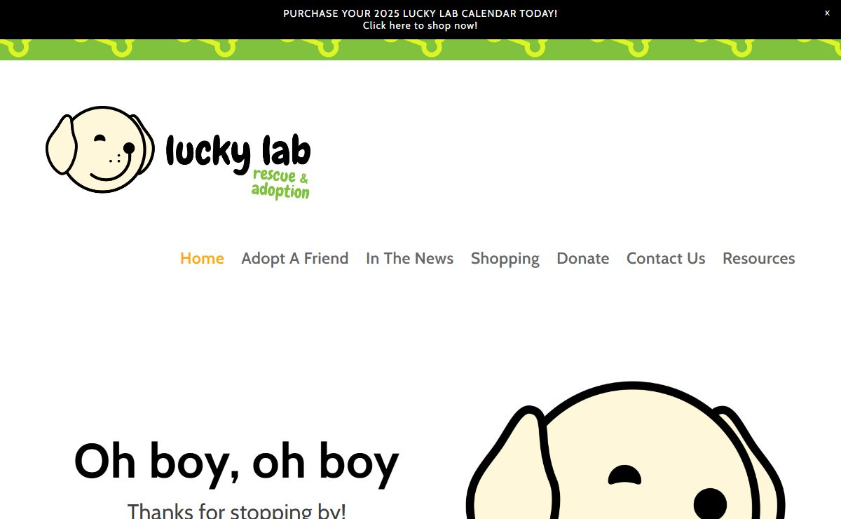 Lucky Lab Rescue