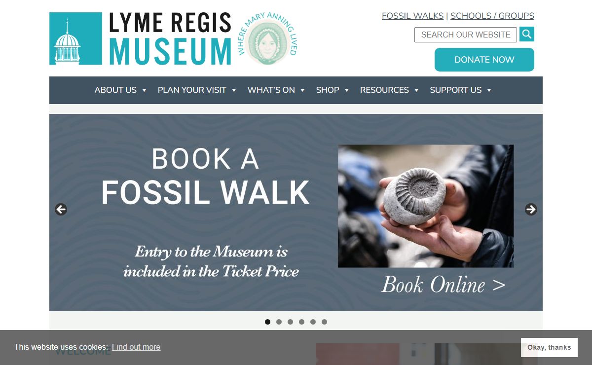 Inspirational Fossil Walks and School Activities: Lyme Regis Museum