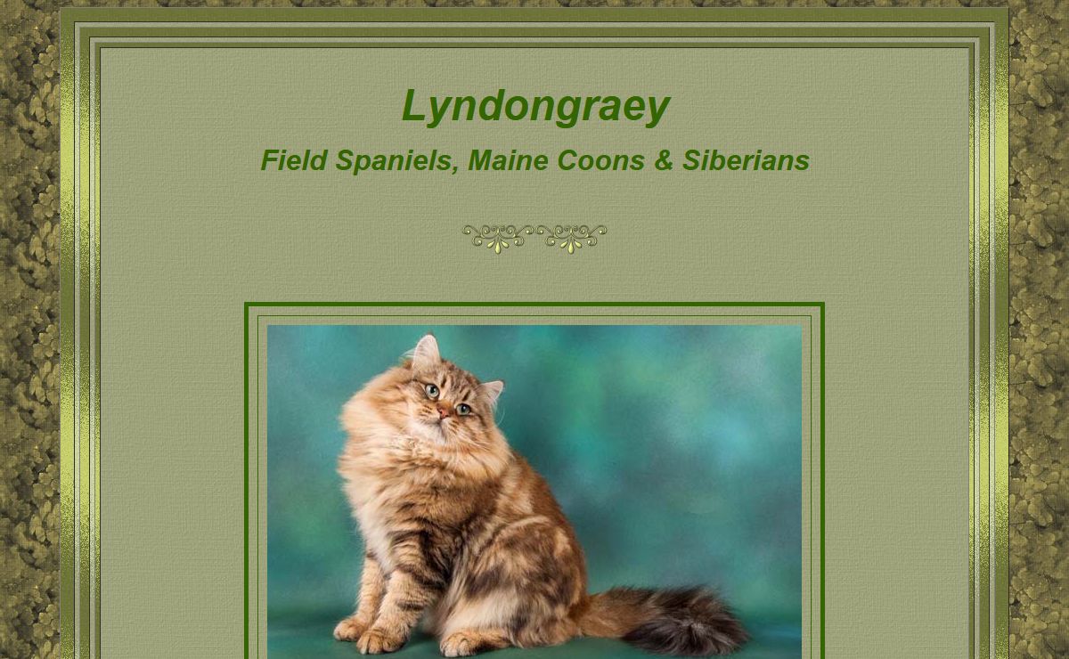 Lyndongraey Field Spaniels, Maine Coons and Siberians