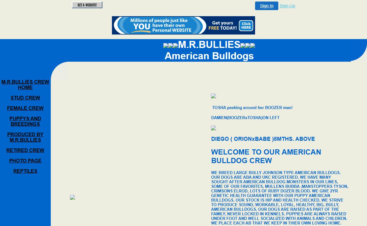 M.R.BULLIES CREW HOME