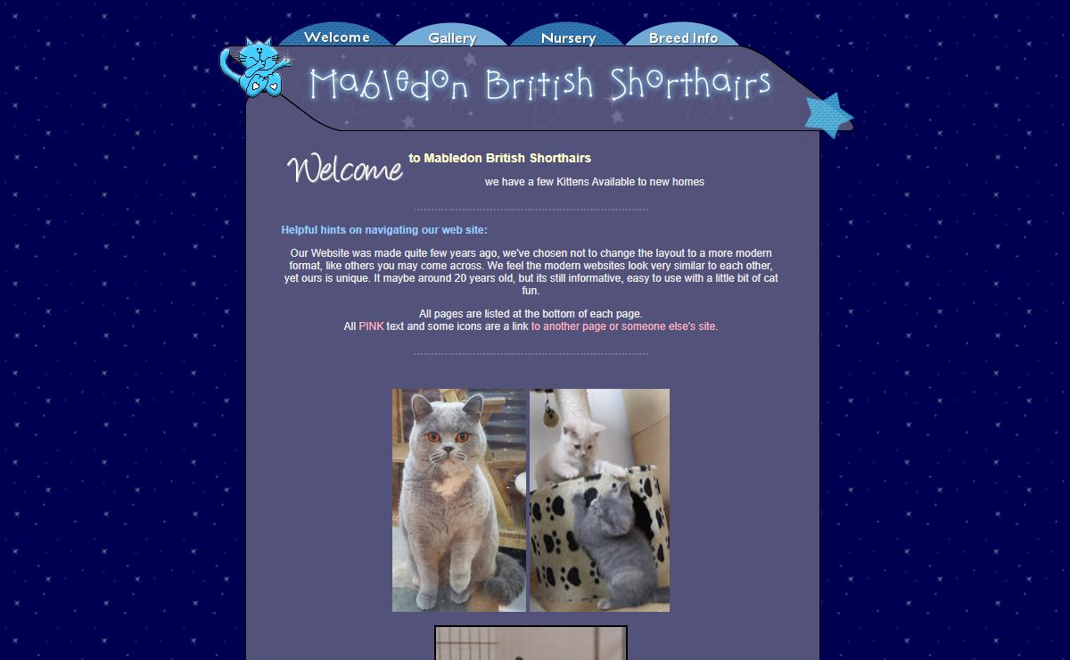 Mabledon British Shorthair Cats - British Blue Shorthair