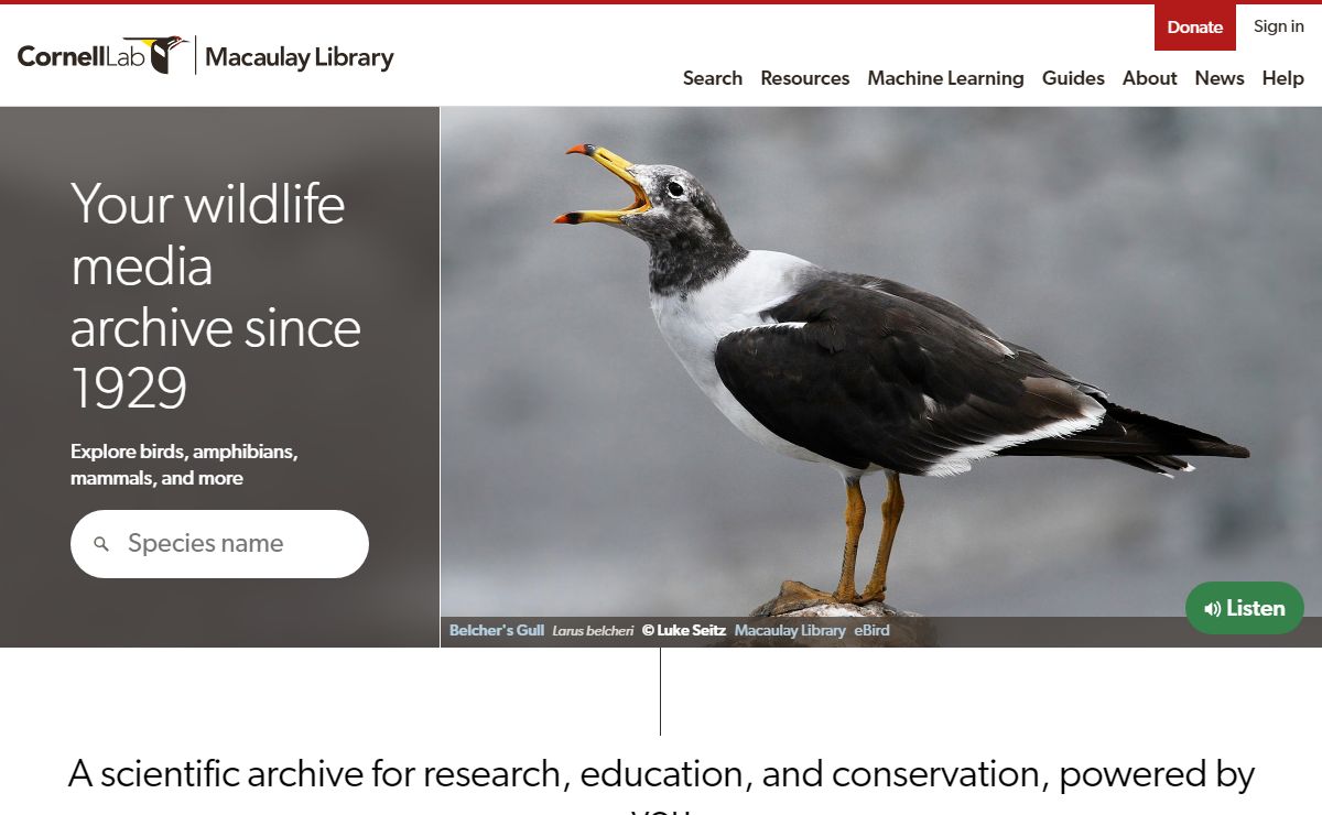 Macaulay Library – A scientific archive for research, education, and conservation, powered by you