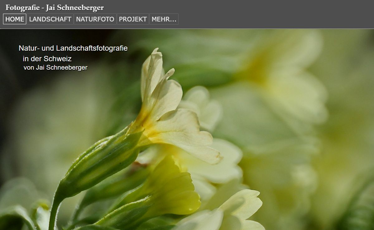 Fotografie Jai Schneeberger