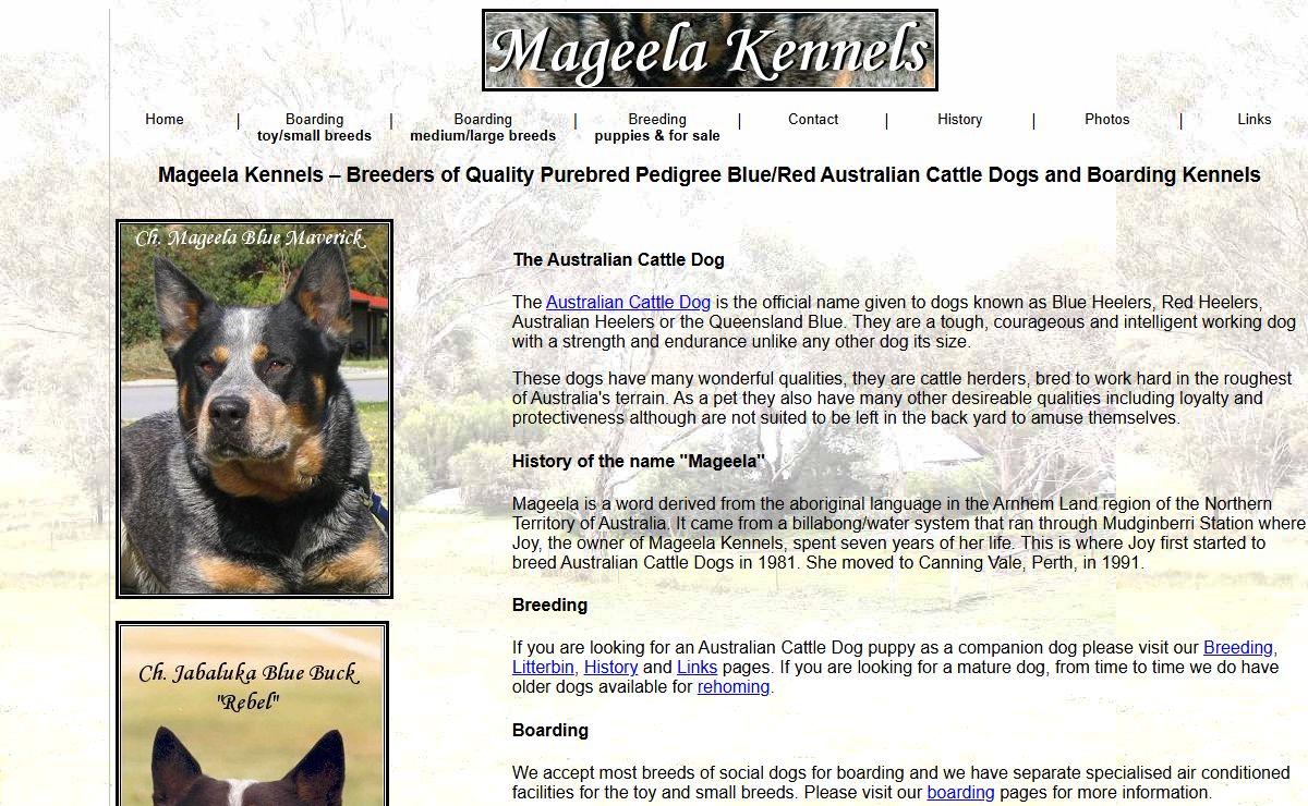 Mageela Kennels - Australian Cattle Dog Breeder and All Breed Boarding Kennels