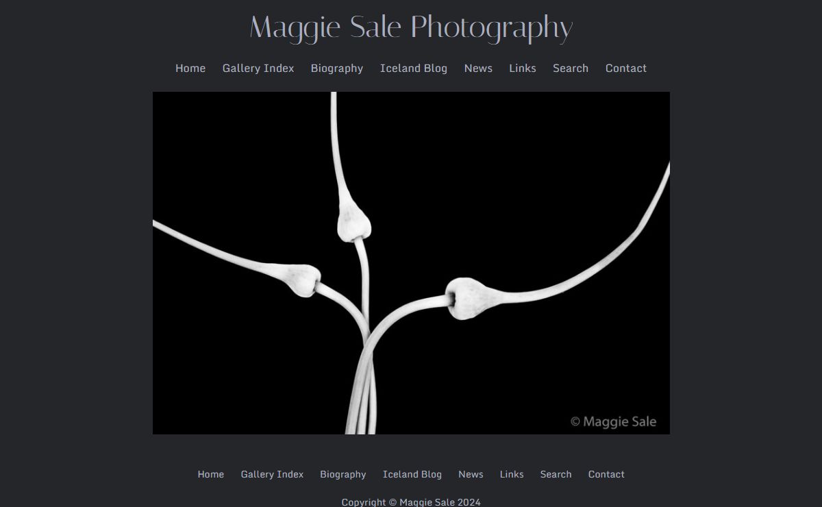 Maggie Sale Photography