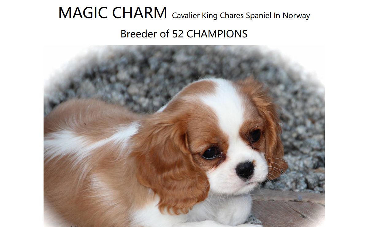 magiccharm