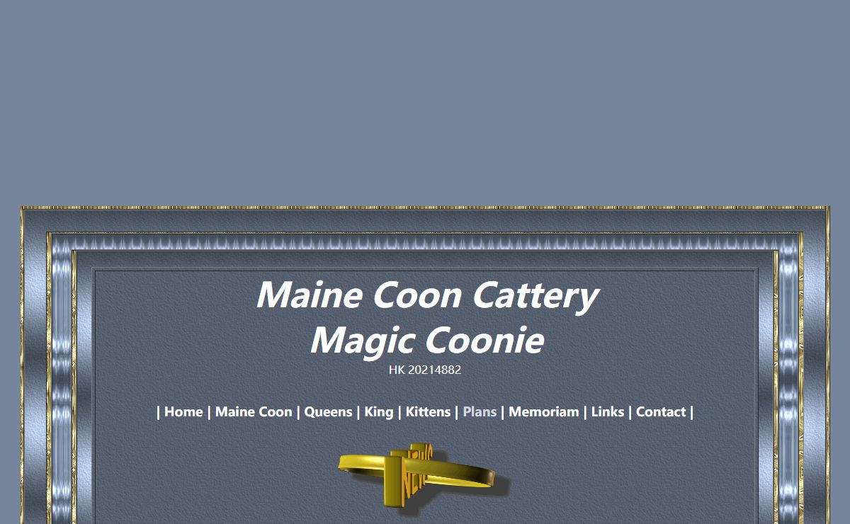 Magic Coonie