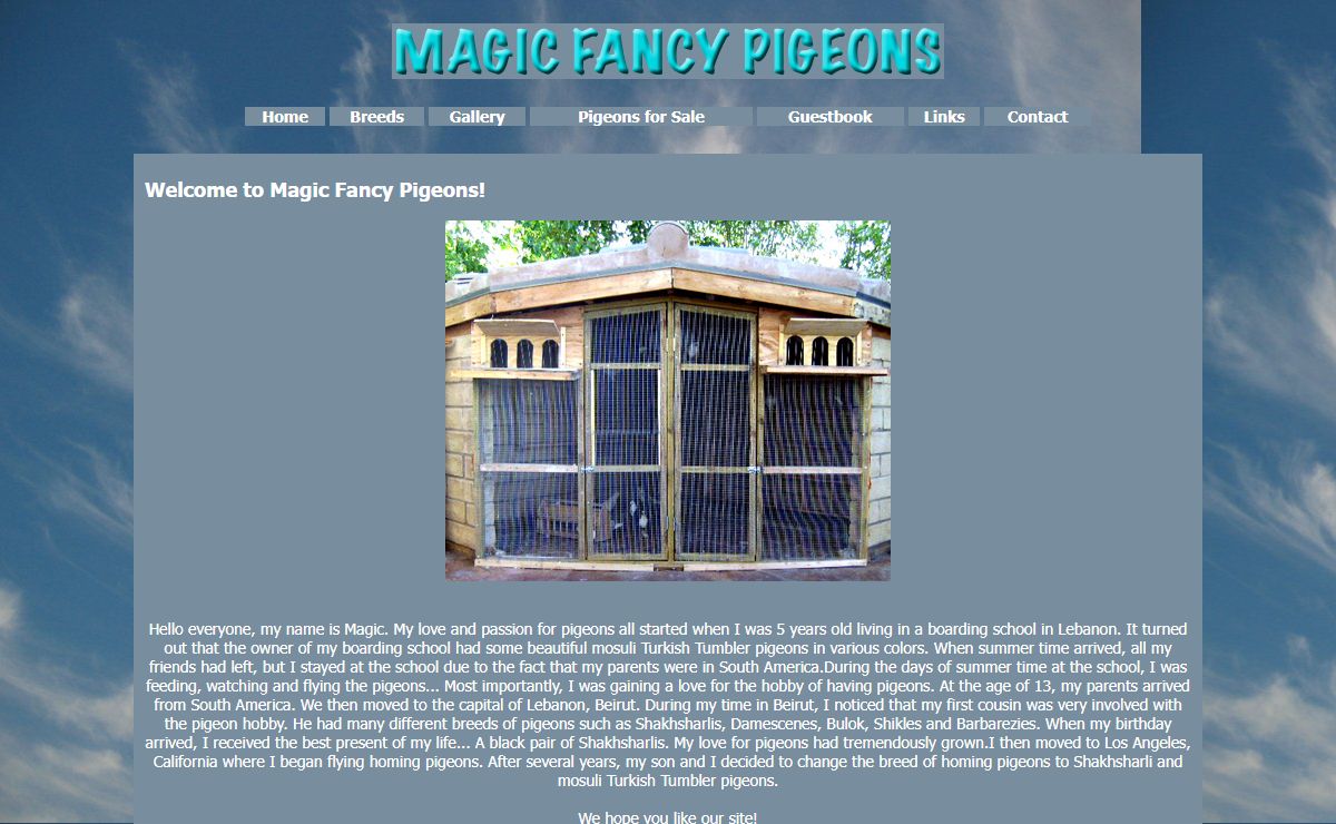 Magic Fancy Pigeons - Pigeons For Sale, Turkish Tumbler, Shakhsharli, Avian Research